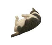 839755093