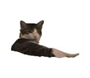 839755094
