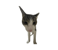 839755095
