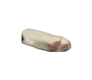 839755096