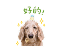 839755334