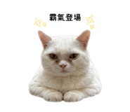 839755401