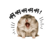 839755639