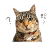 839755760
