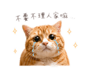 839755781