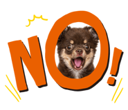 839756384
