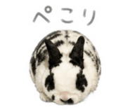 839757482