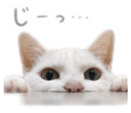 839757502