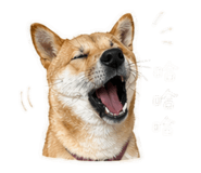 839757573