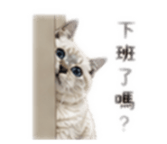 839758038