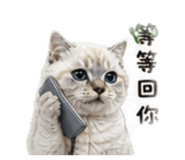 839758039