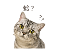 839758332