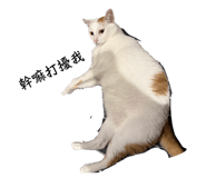 839758509