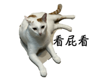 839758510