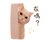 839759335