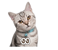 839759987