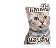 839759991
