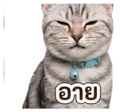 839759992