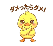 839760638