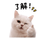 839760931
