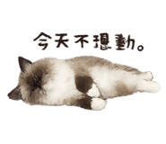 839761466
