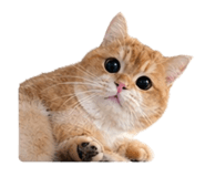 839762321
