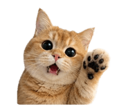 839762322