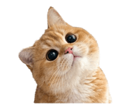 839762333