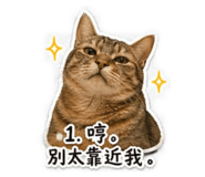 839762353