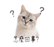839762643