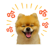 839762884