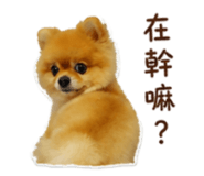 839762887