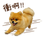 839762888