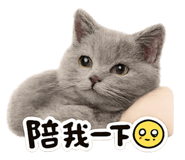 839763144