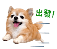 839763233