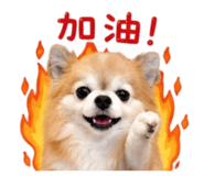 839763236