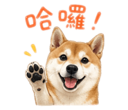 839763305