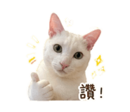 839763324