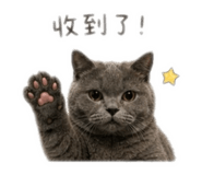 839763398