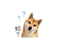 839763445