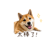 839763446