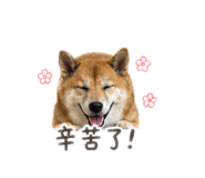 839763447