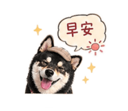 839763685