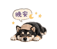 839763687