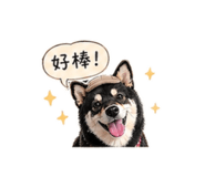839763696