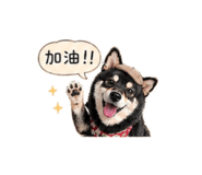 839763697