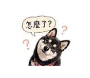 839763698
