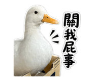839763842