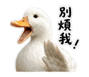 839763848