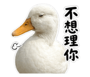 839763850